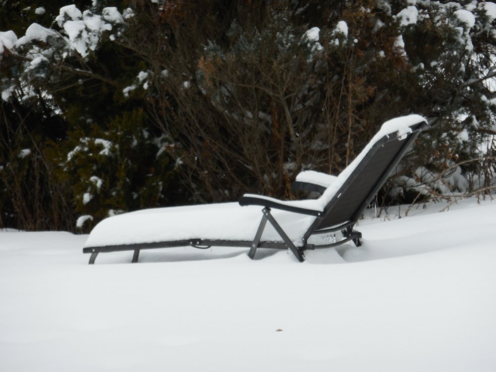 Ready for summer chair.JPG