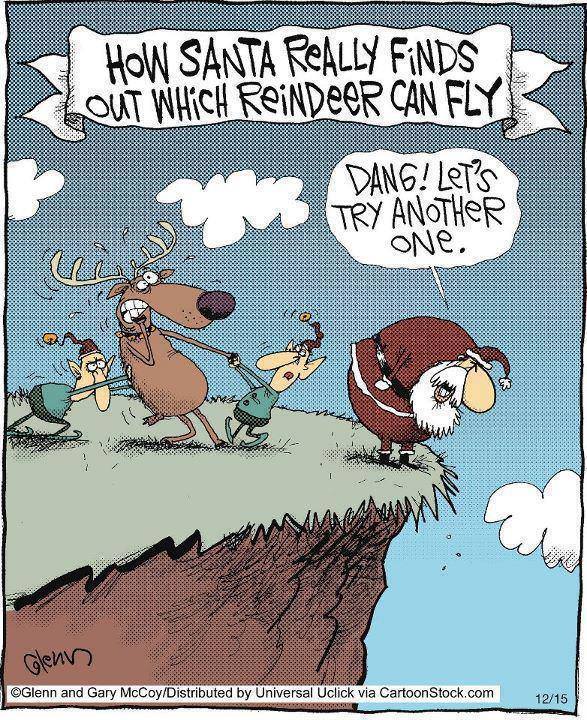 reindeer.jpg