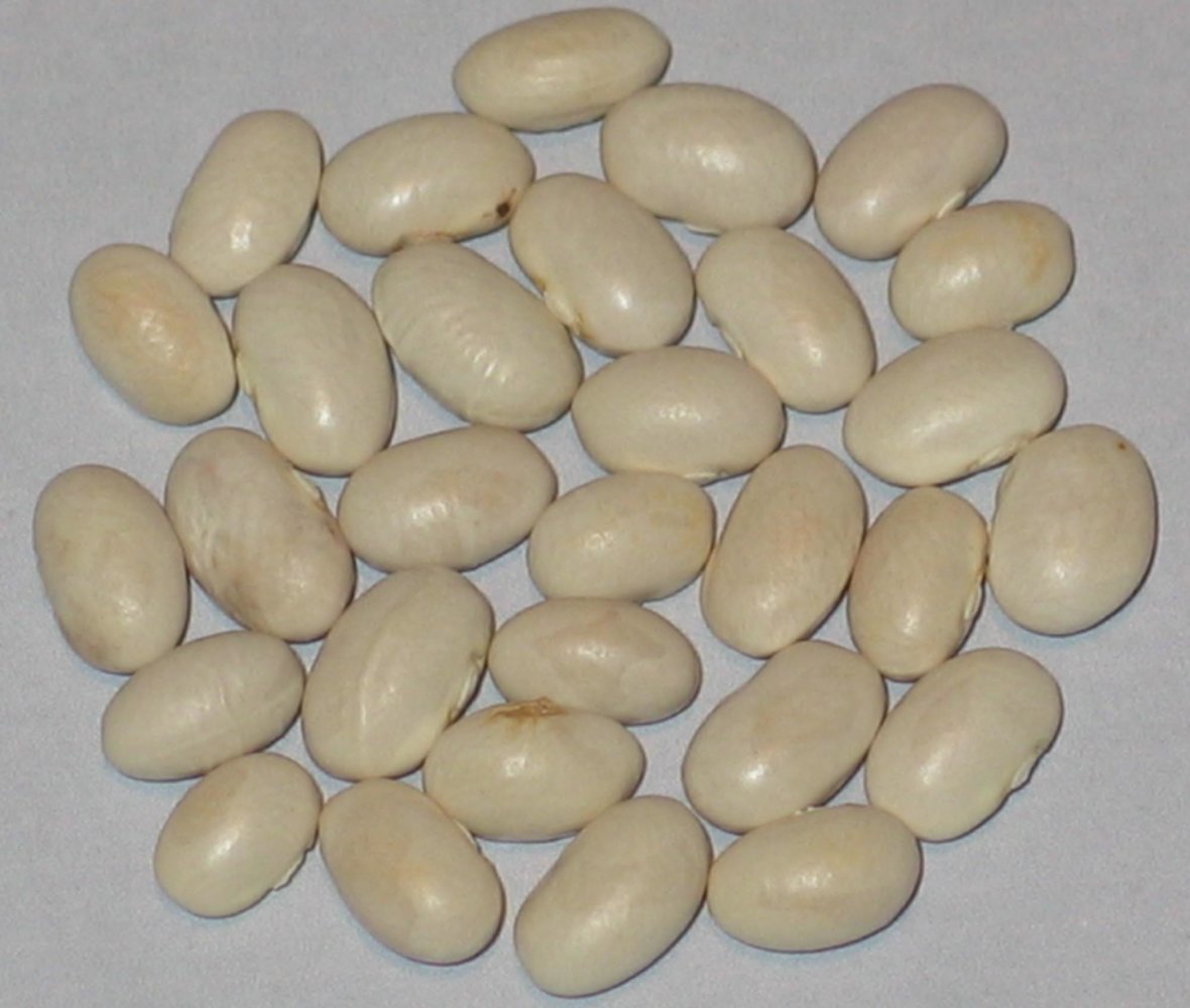 Rice Lake Little White.jpg