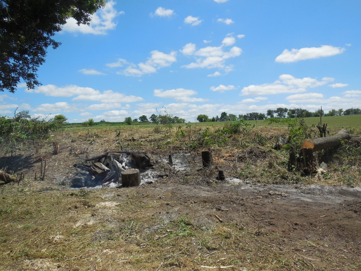 ridge cleared to alfalfa field.JPG