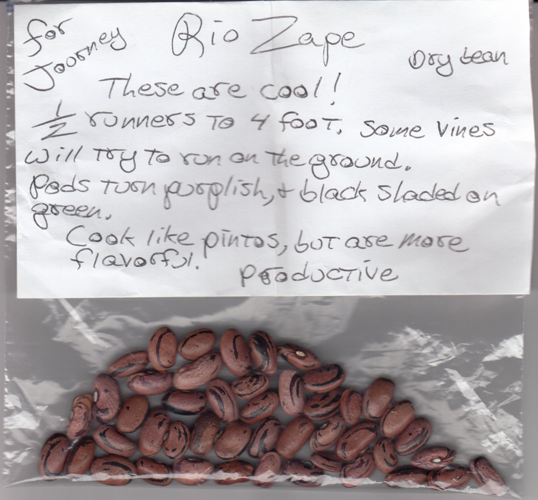 Rio Zape(2).jpg