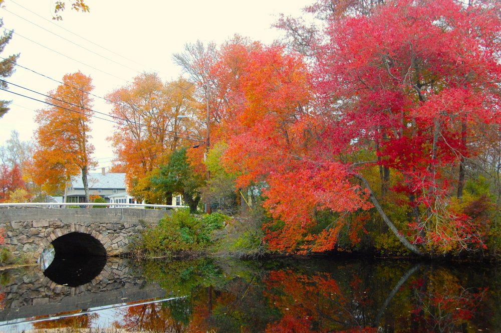 river in october 2015.jpg