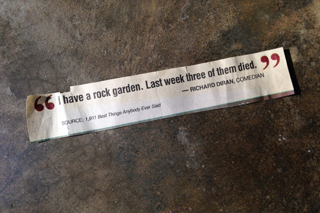 rock garden.jpg