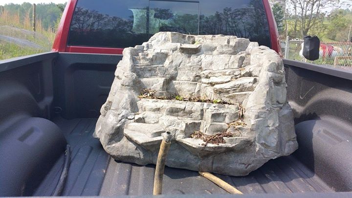 rock.jpg