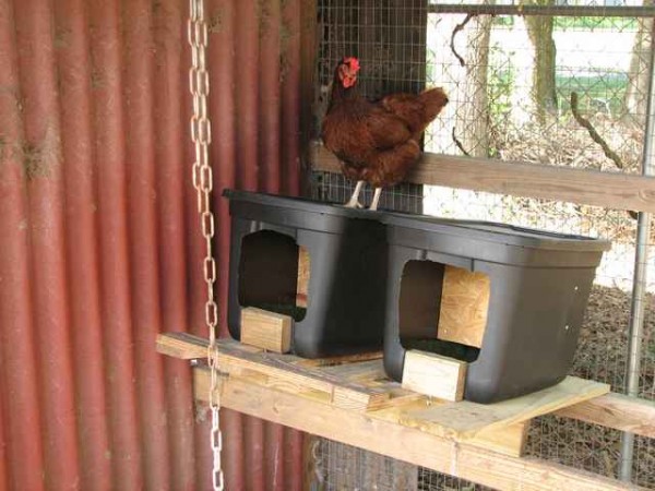 rollawaynestbox.jpg