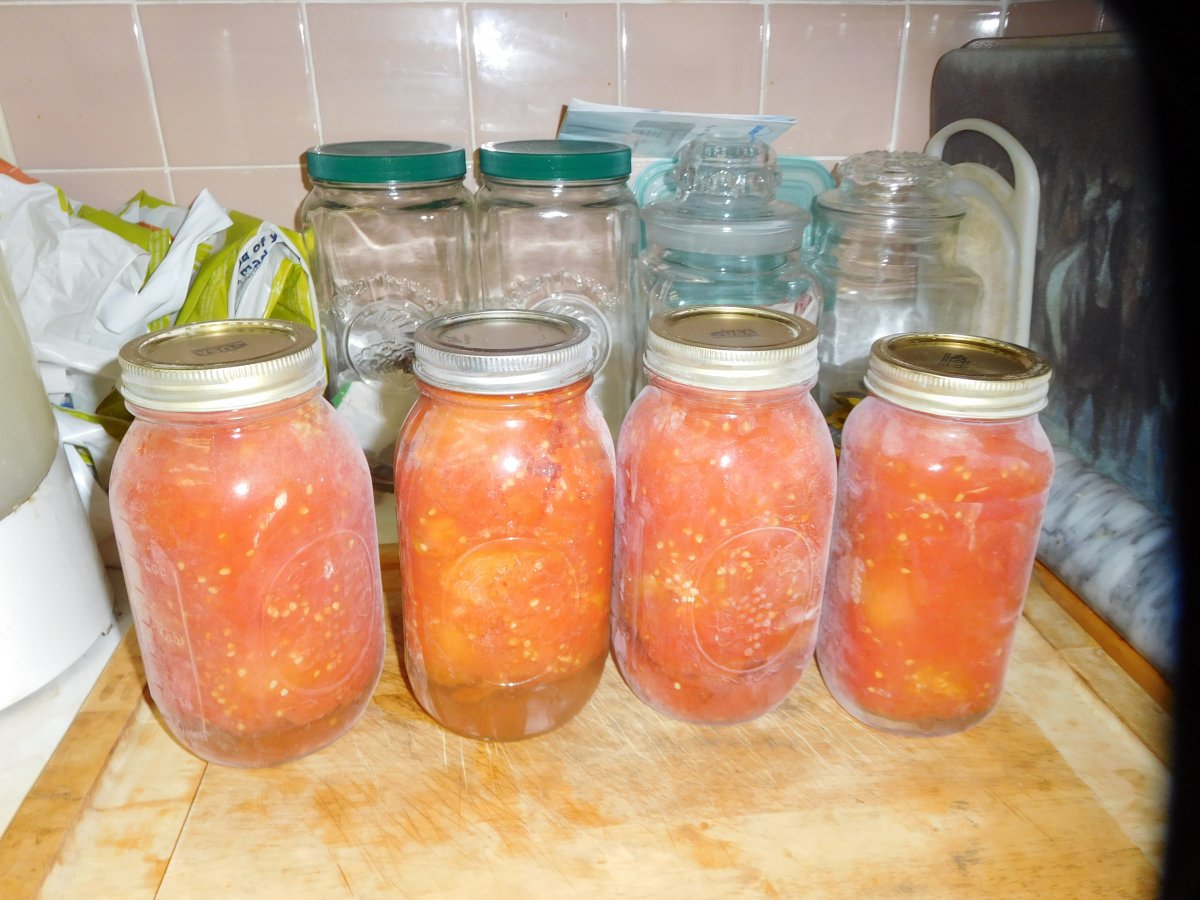 Romas, 09-23-19.JPG