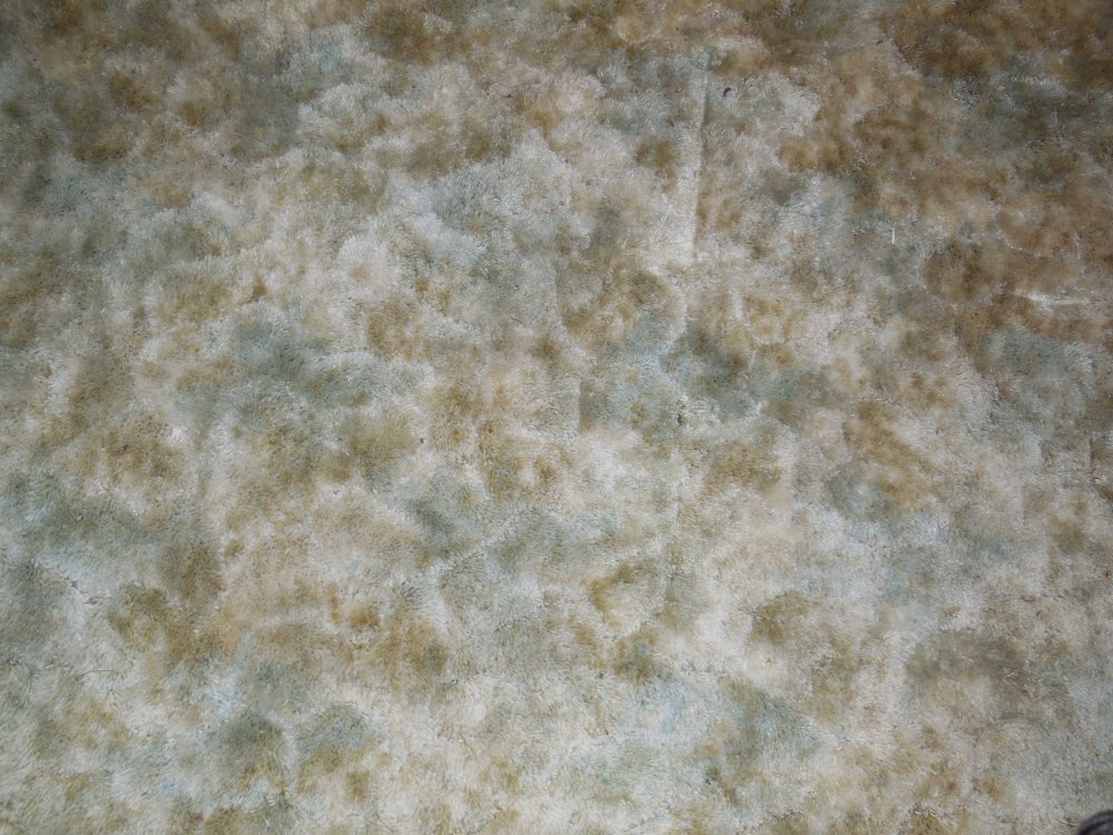 room4.JPG