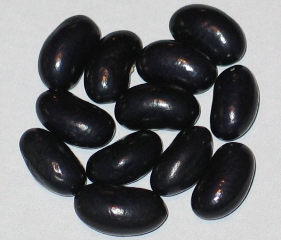 Rosa's Bean.jpg