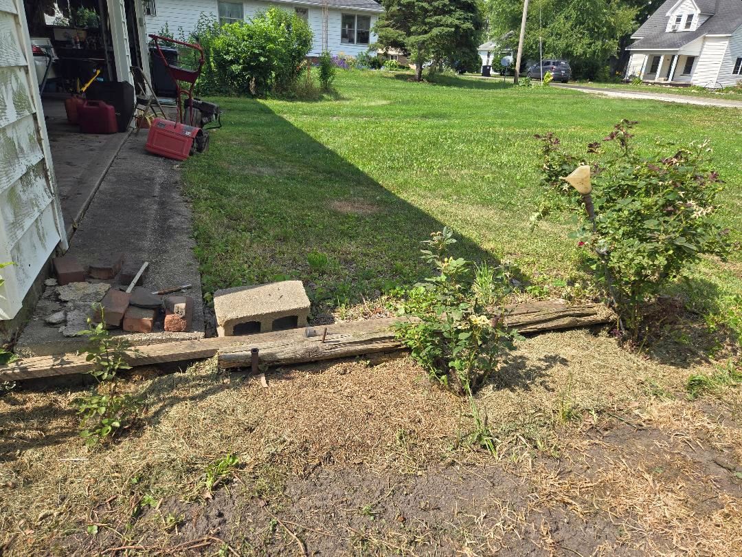 Rose bed, 06-20-25, with cardboard covered, 06-24-25.jpg