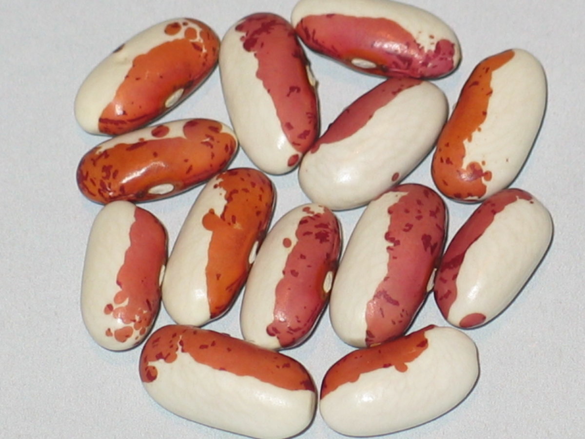 Roz Picat.jpg