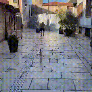 rqsjfXs_KjmsBAk5.gif