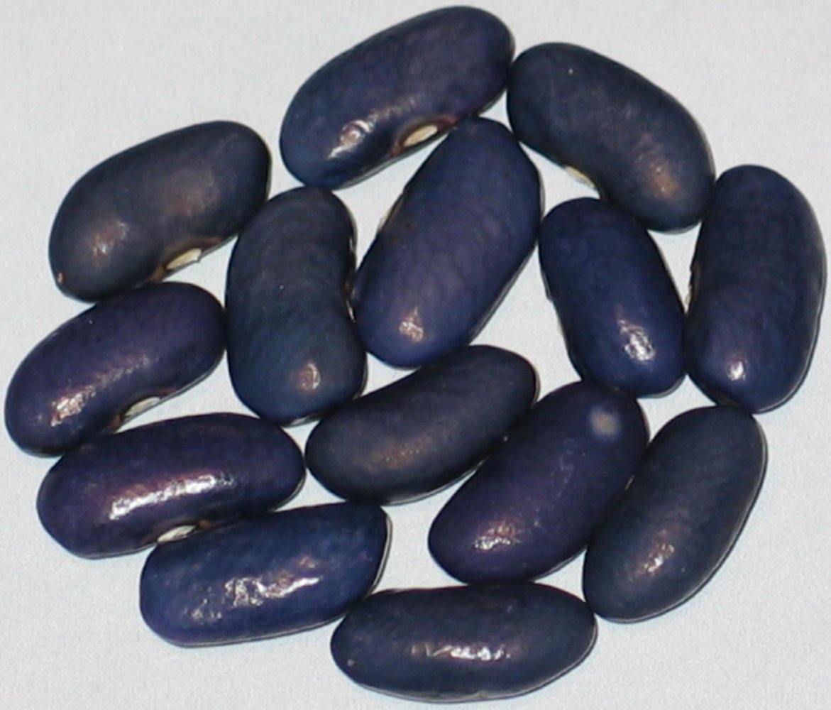 Sacre Blue.jpg