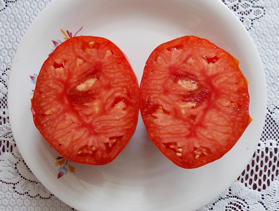 Sajanogorskij Wielikan 7.jpg