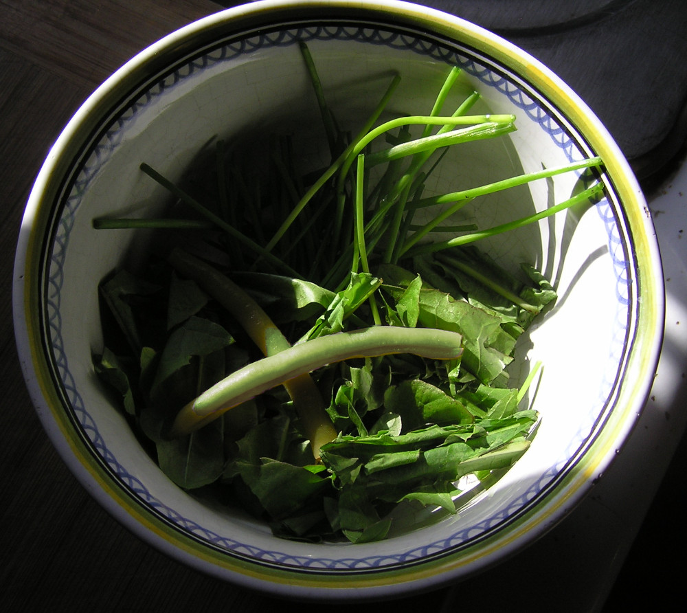 SaladIngredientsHomegrown9Aug2023editSmaller.jpg