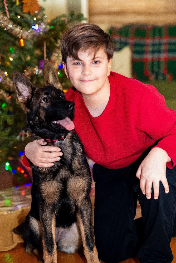 Sasha, Christmas, 2025.jpg