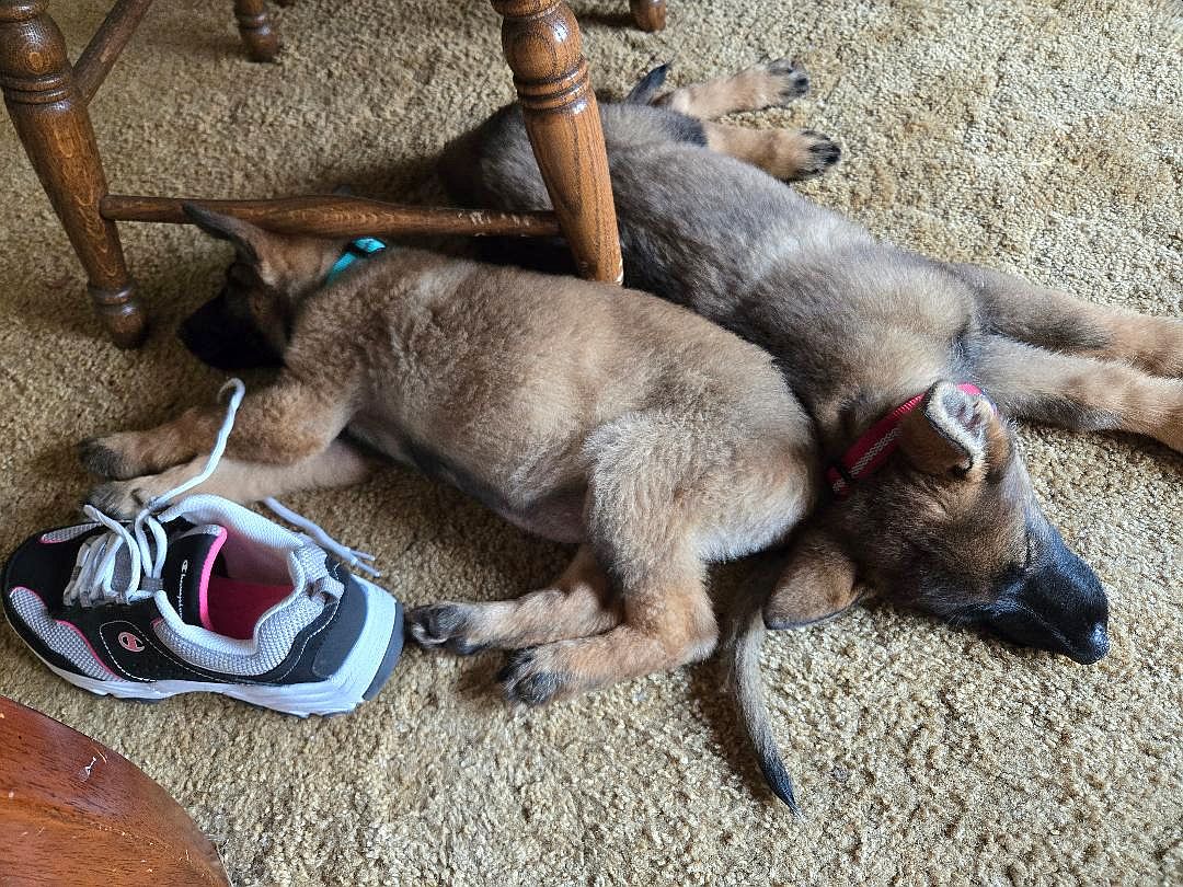 Sasha & Tegan, all wiped out, 09-05-25.jpg