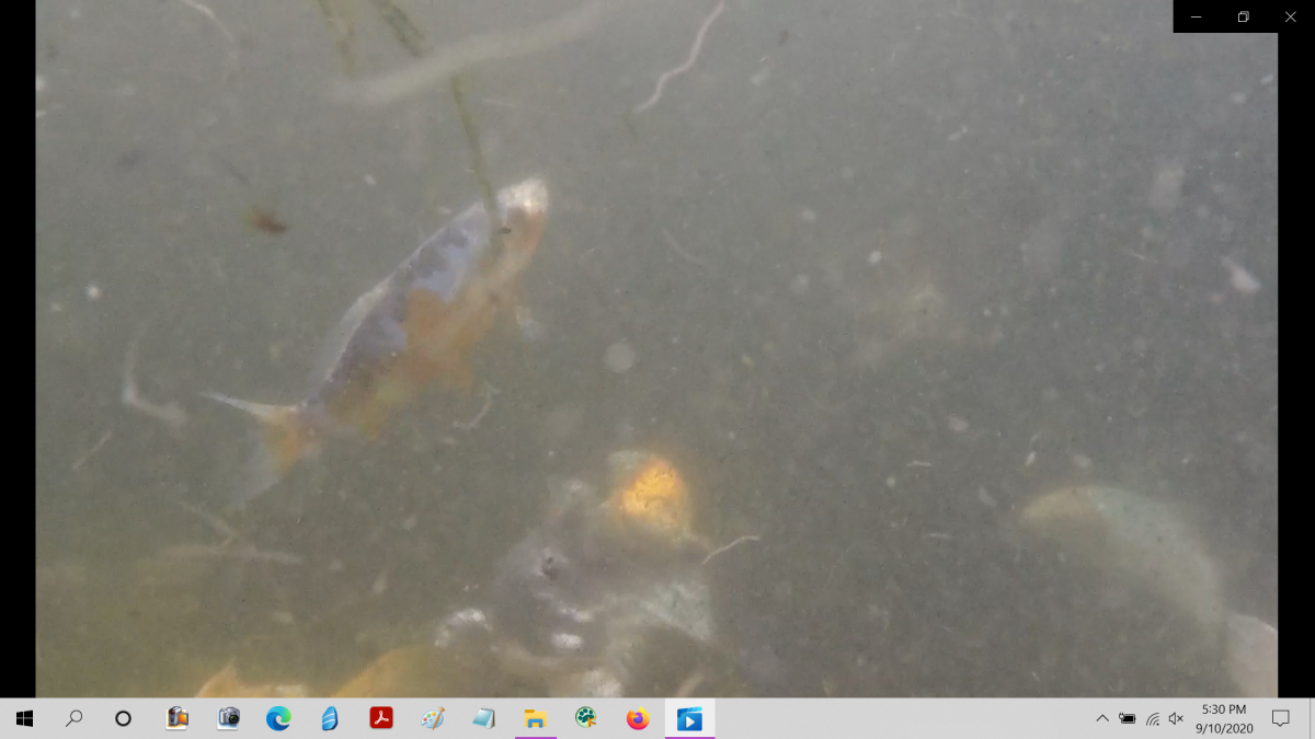 Screenshot (34).png