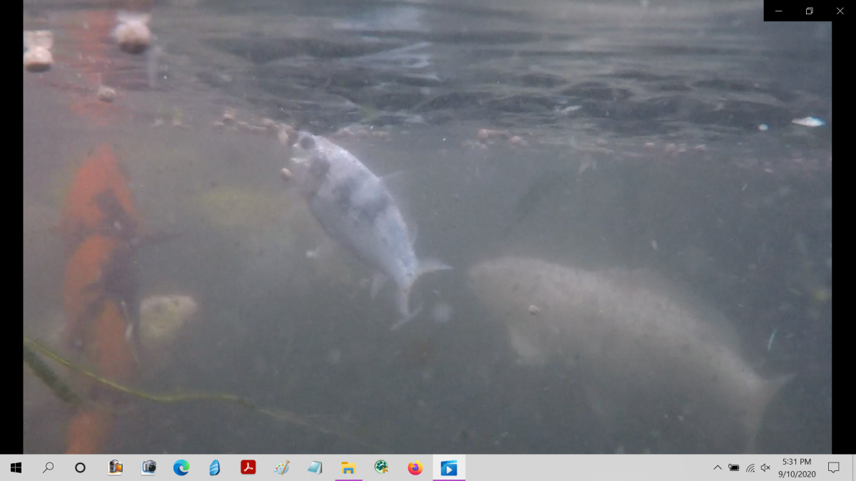 Screenshot (35).png