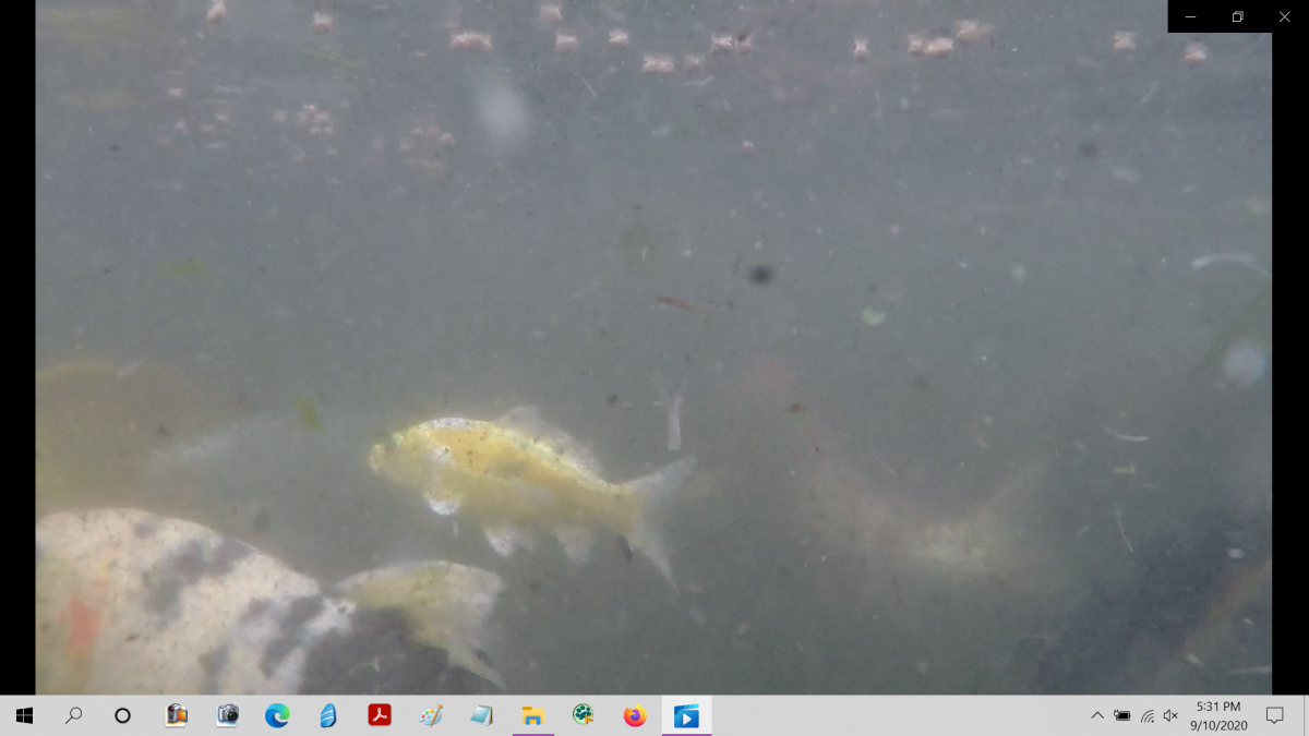 Screenshot (36).png