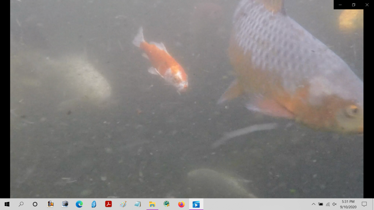 Screenshot (37).png
