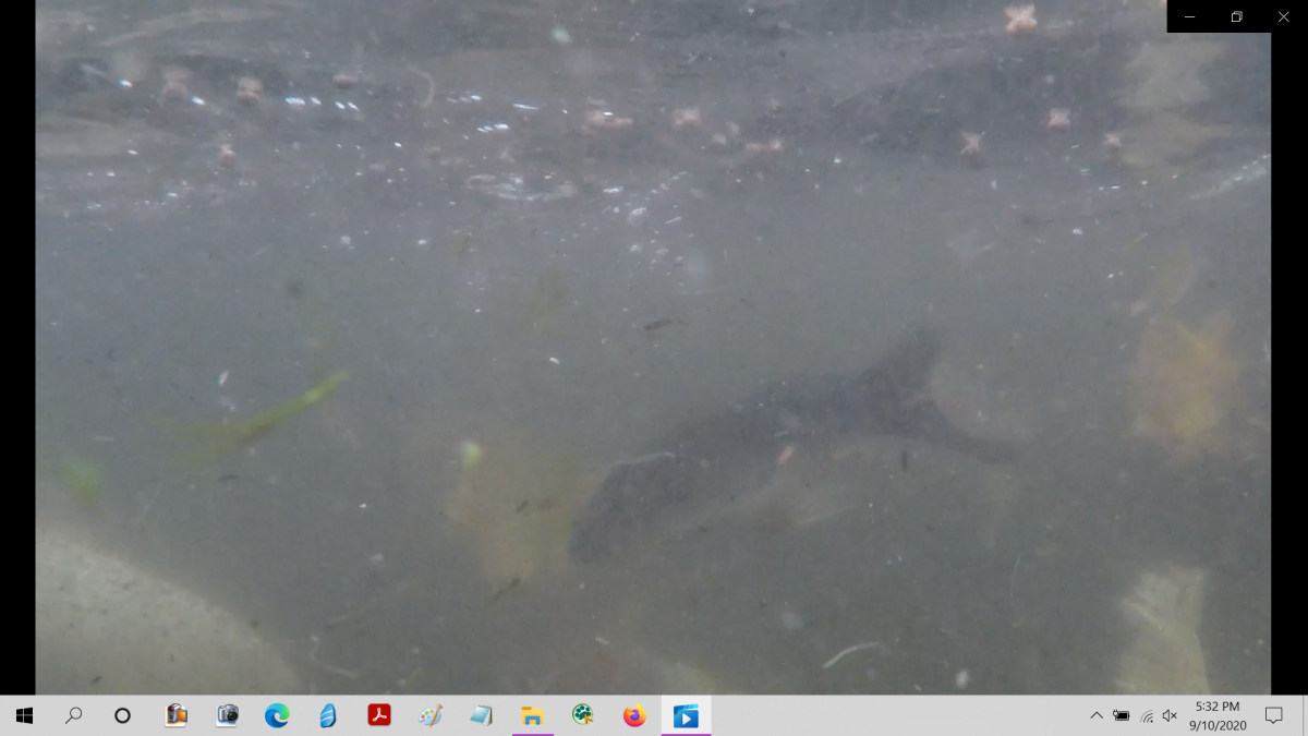 Screenshot (38).png