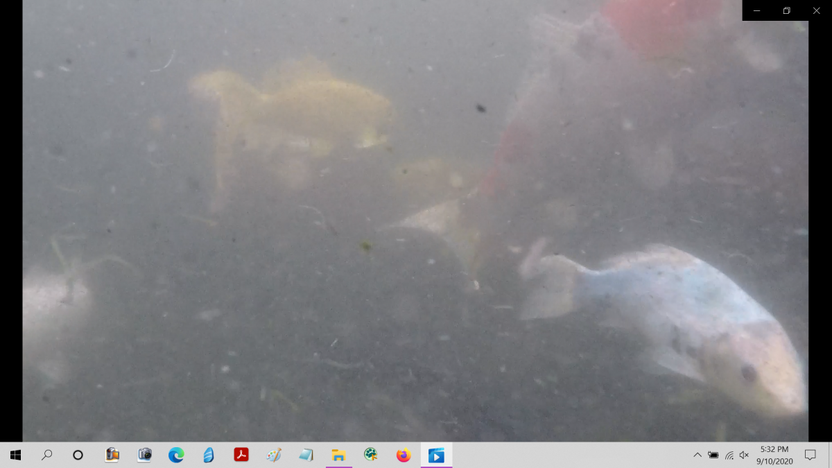 Screenshot (39).png
