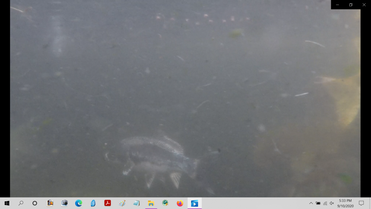 Screenshot (40).png
