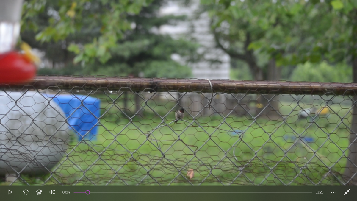 Screenshot (404).png