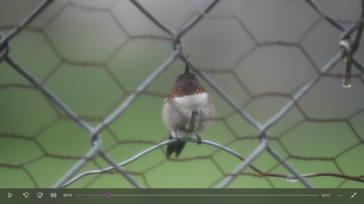 Screenshot (406).png