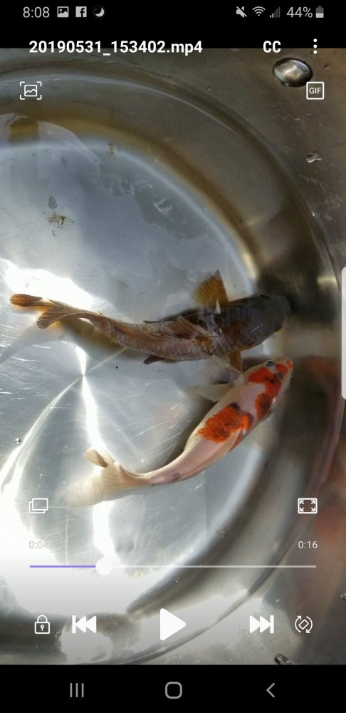 Screenshot_20190531-200821_Video Player.jpg