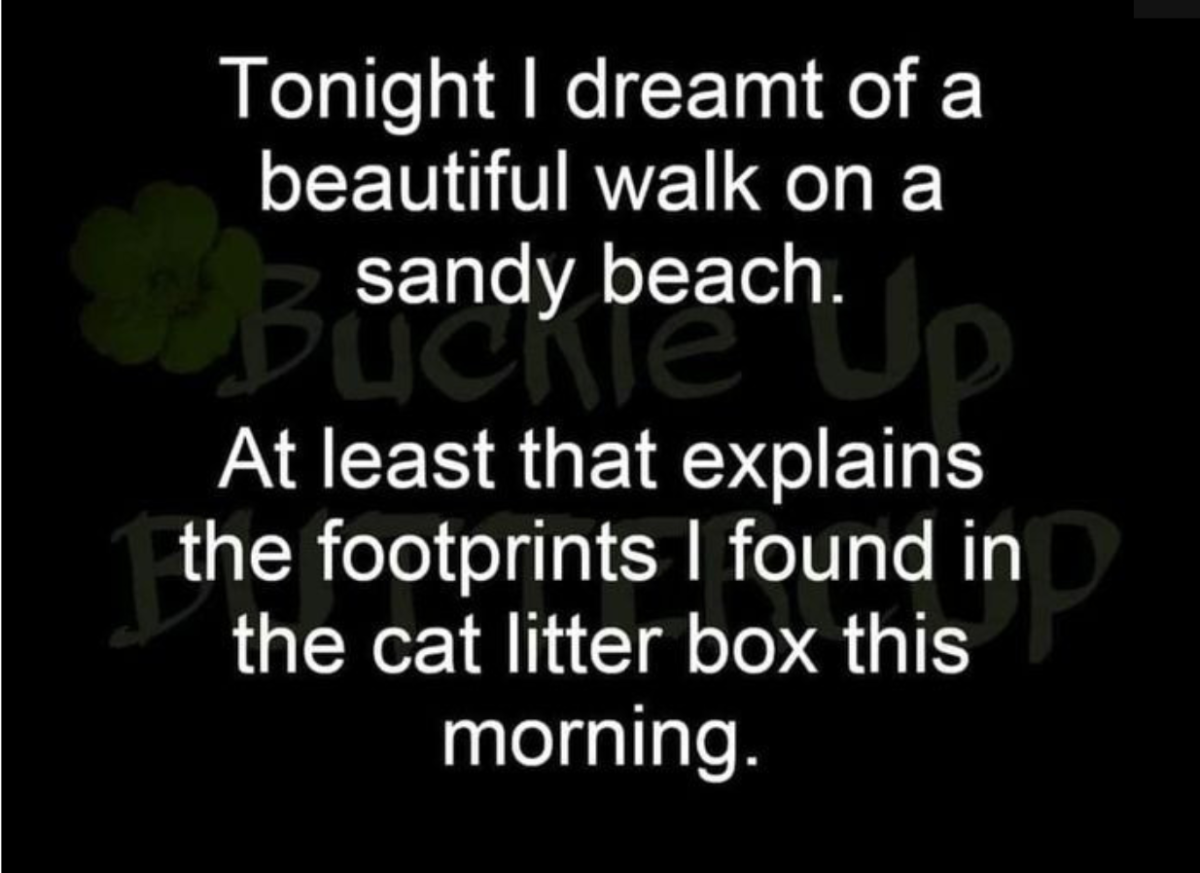 Screenshot_2021-10-02-18-43-52_kindlephoto-116634629.png