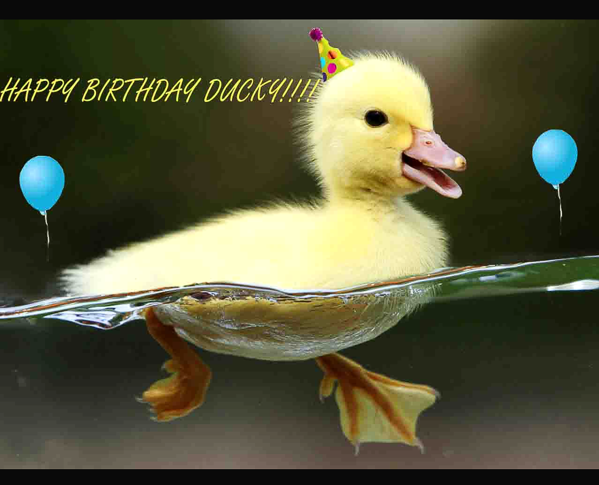 Screenshot_2021-12-20-11-17-46_kindlephoto-20886691.png