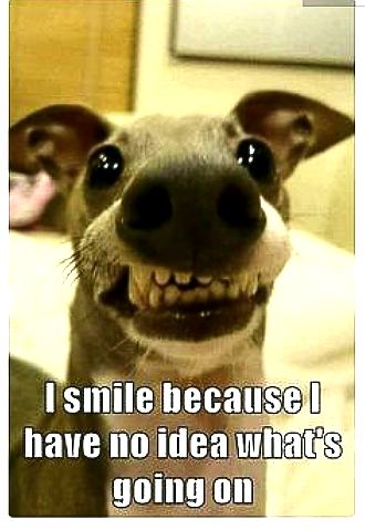 Screenshot_20210717-193537_kindlephoto-294029201.png