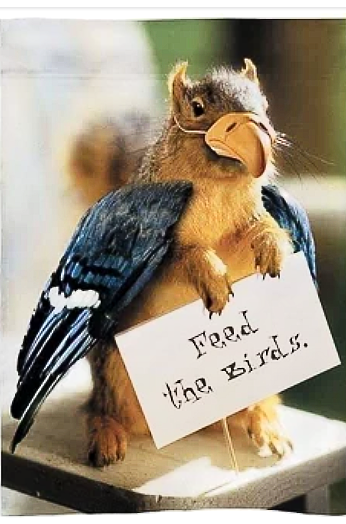 Screenshot_20210929-104405_kindlephoto-868272382.png