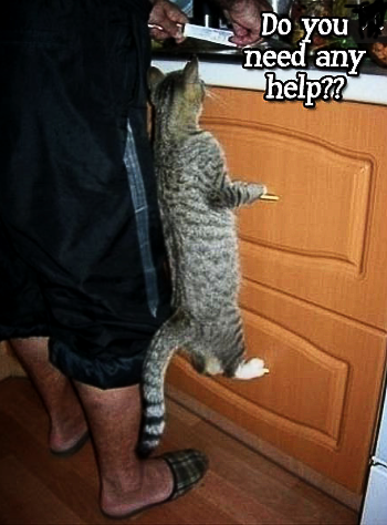 Screenshot_20220122-192115_kindlephoto-303435445.png