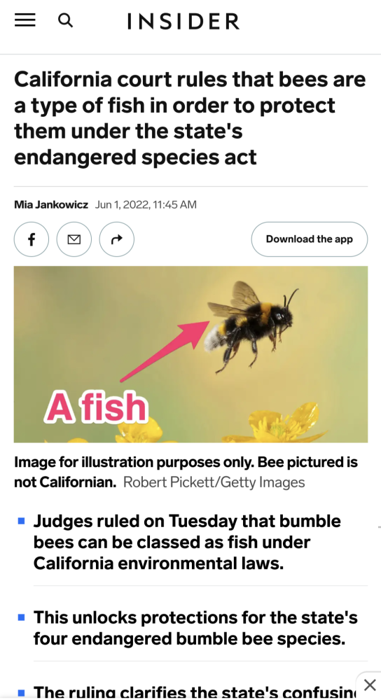 Screenshot_20220603-100007.png