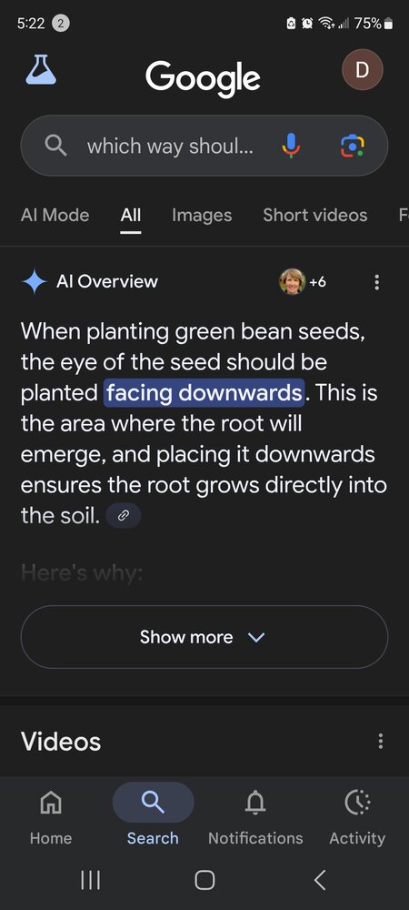 Screenshot_20250802_172259_Google.jpg