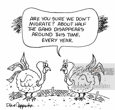 seasonal-celebrations-thanksgiving-migrate-migration-turkey-turkey_farm-dcrn1376_low.jpg