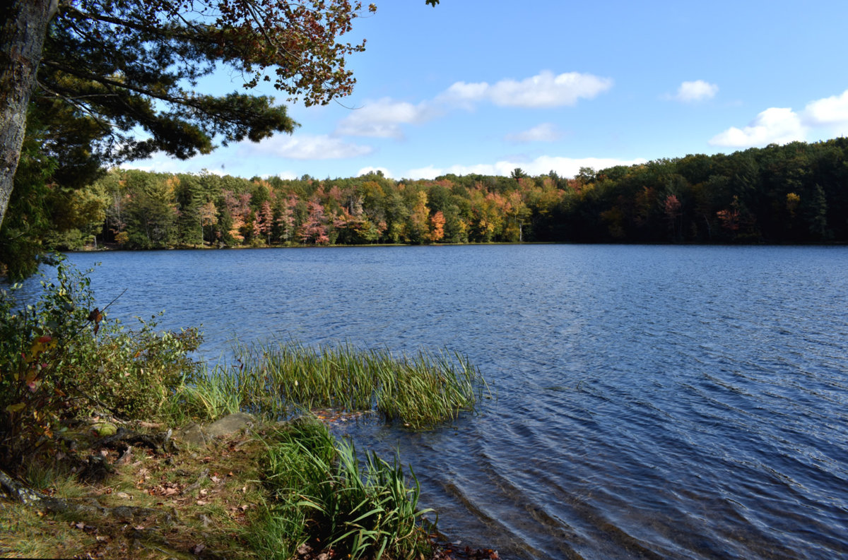 Second Pond 72.jpg