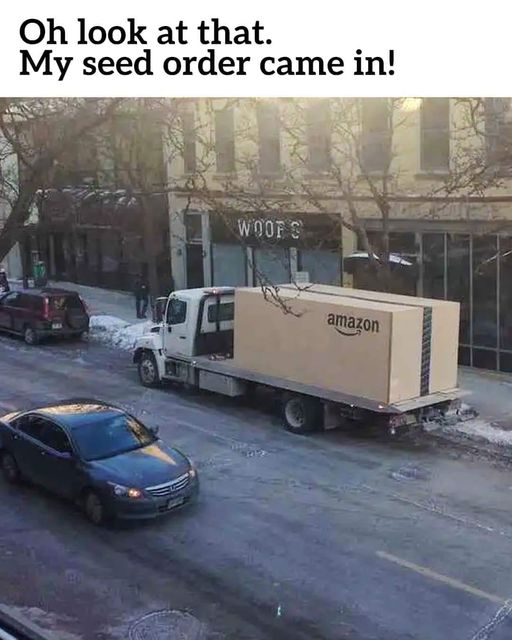 seed order.jpg