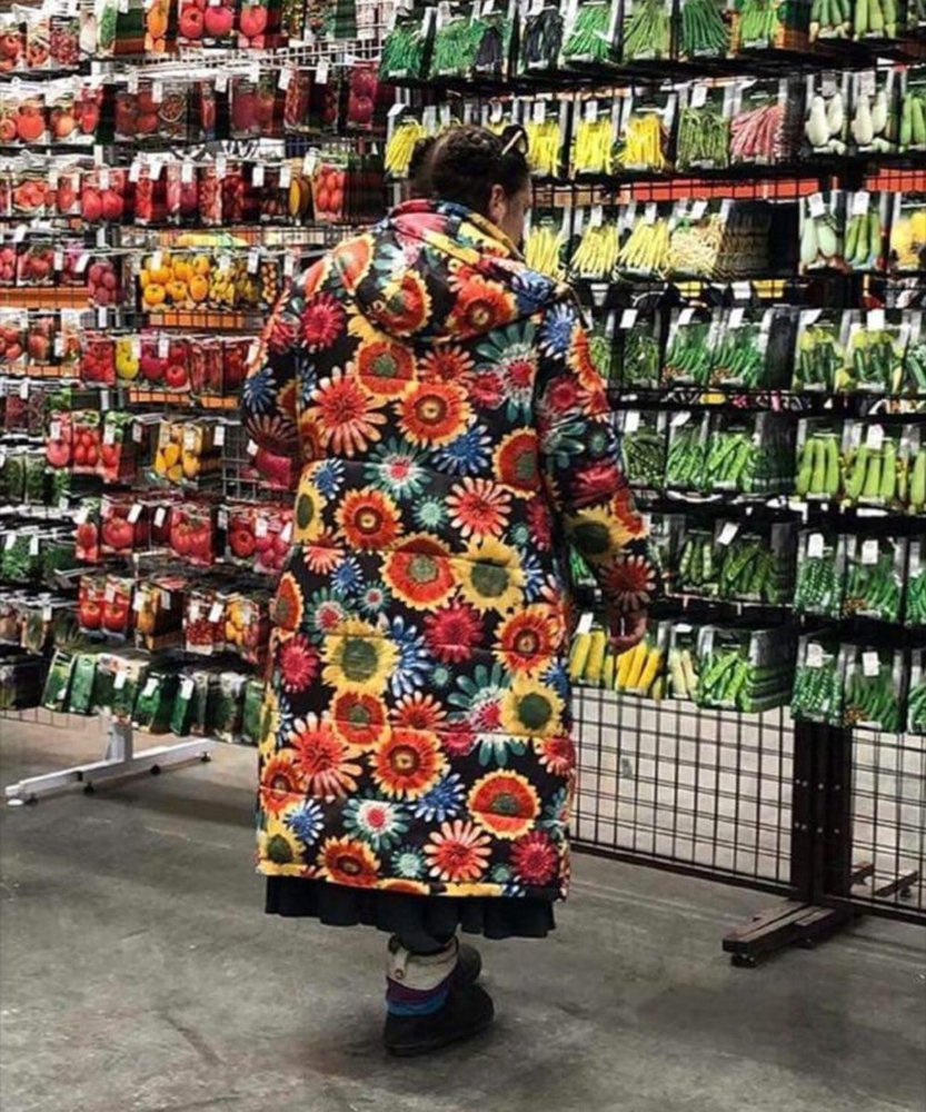 Seed Shopping.jpg