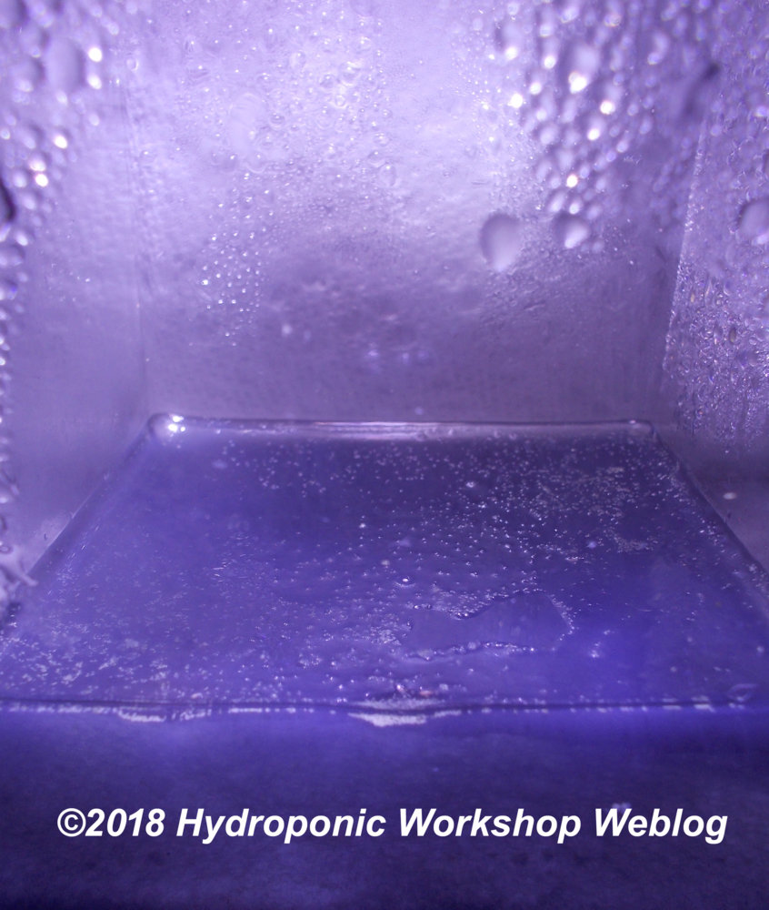 seeds day4.jpg
