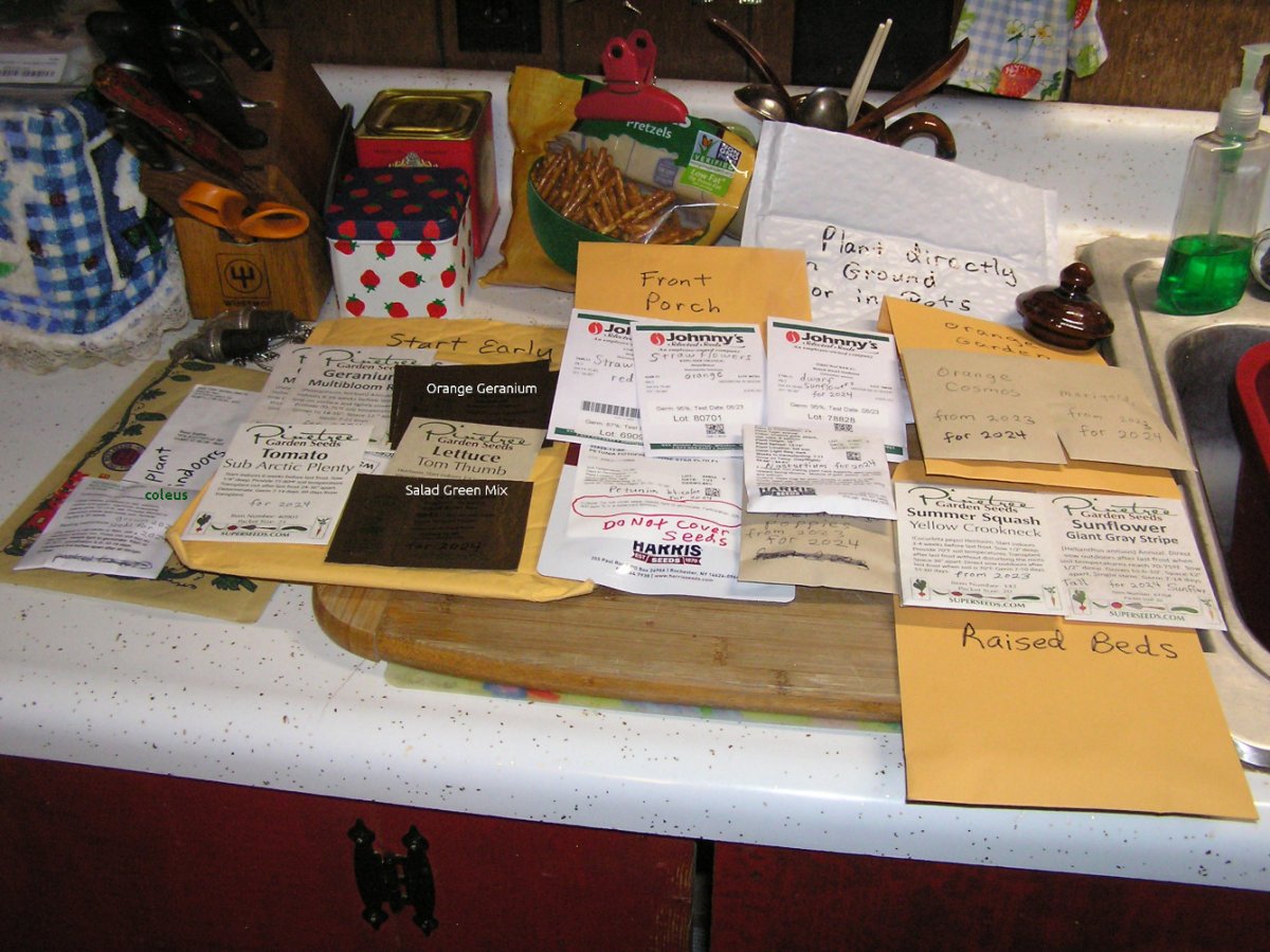 SeedsFor2024.JPG