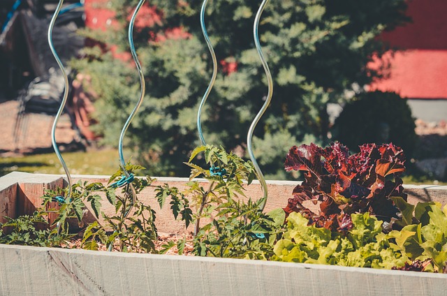 Raised Bed Gardening