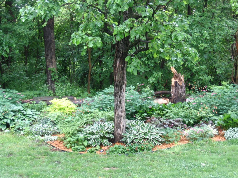 Shade bed center.JPG