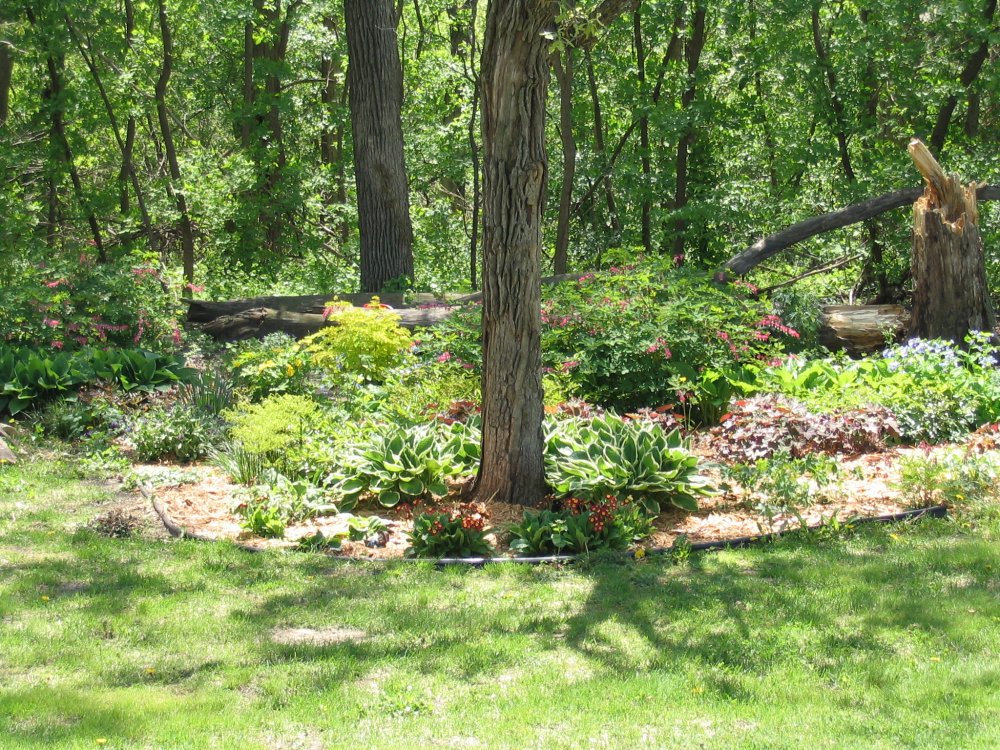 Shade garden center.JPG