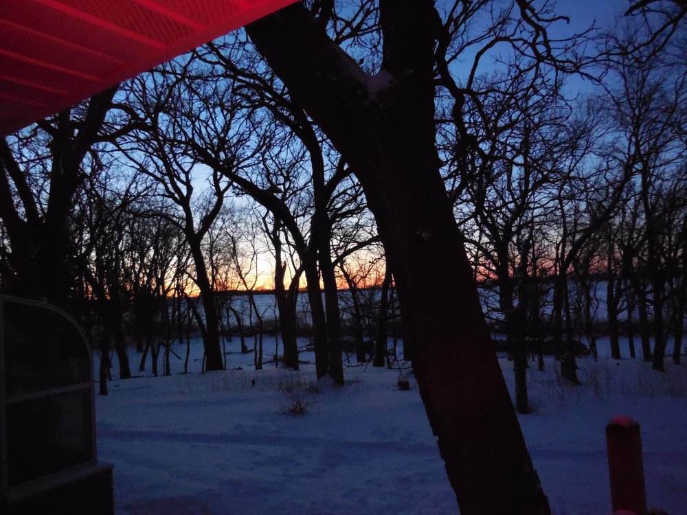 shady sunrise.JPG
