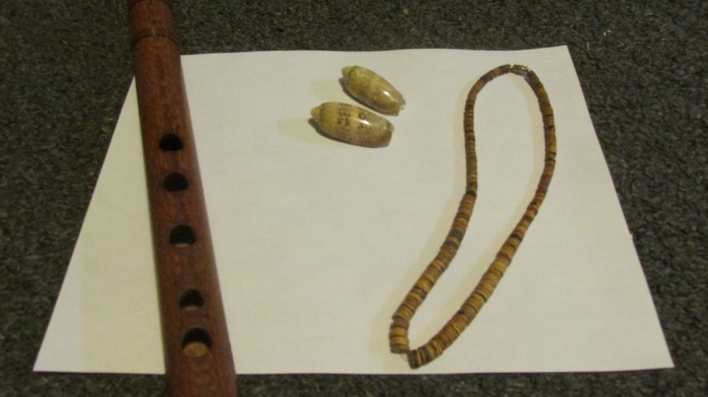 shell 013.JPG