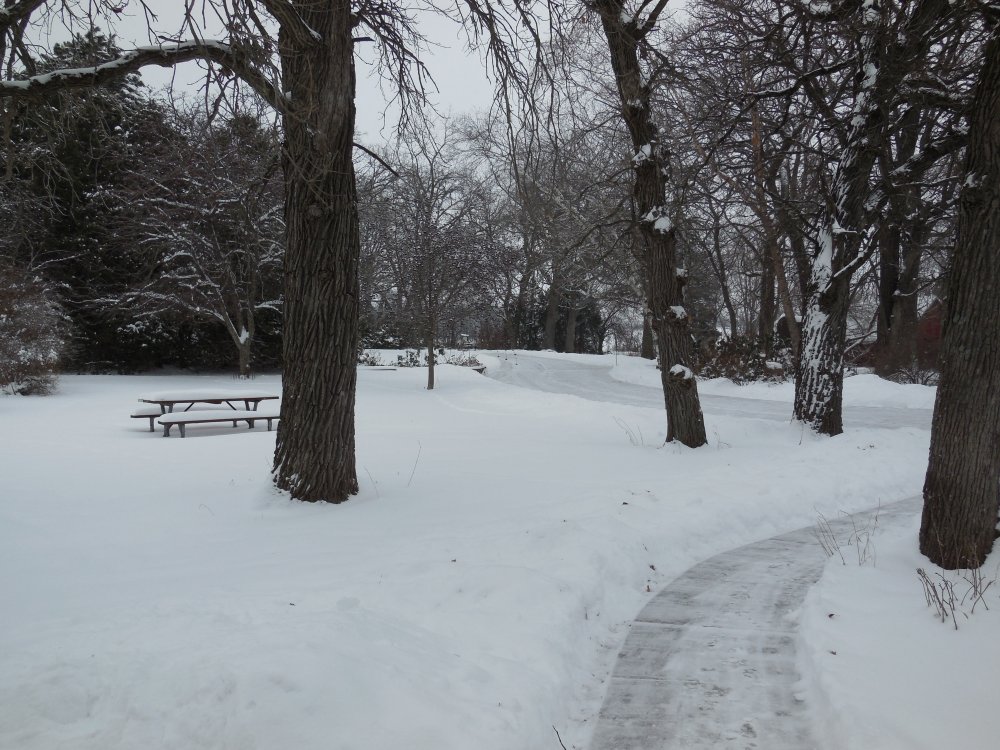 sidewalk:drive.JPG