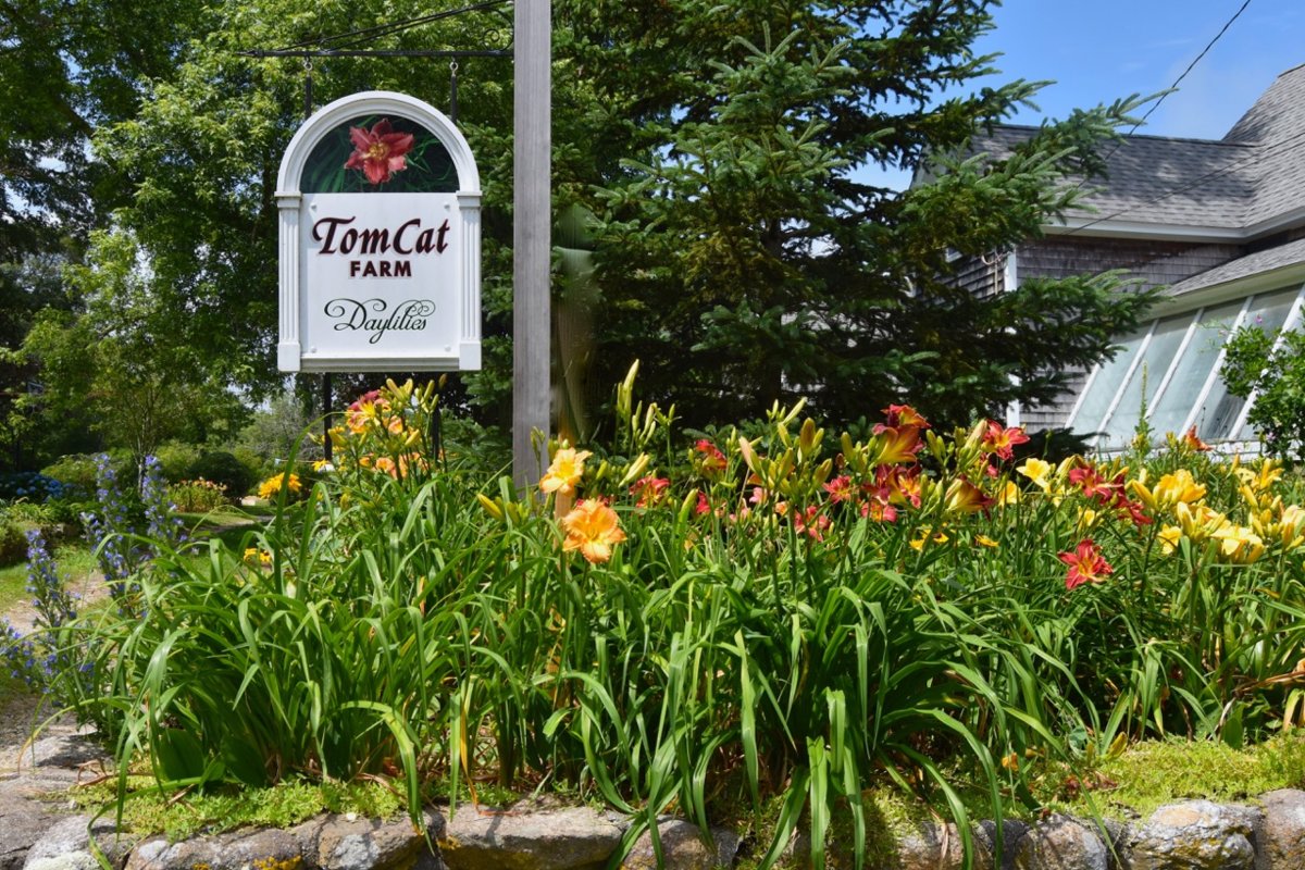 sign with lilies.jpg